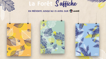 la forêt s'affiche